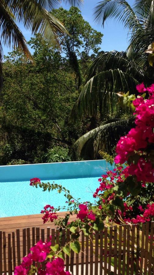 Confortable T1 Le Gosier, Wi-Fi, Piscine Dans Gite Le Gosier  Exterior foto
